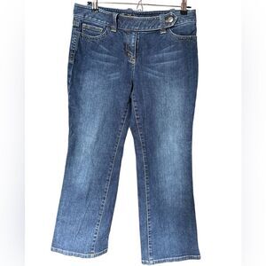 Vintage Y2K Ann Taylor Modern Fit Lindsay Waist Flare Low Rise Jeans 8 Petite